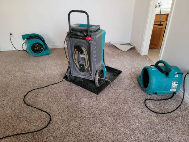 Best Sewage cleanup and water damage restoration  in Story City, IA