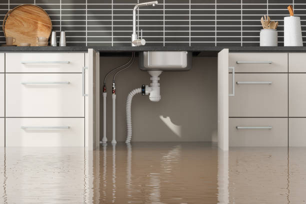 Best Local water damage restoration  in Story City, IA